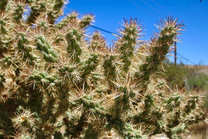 More Photos Of 0 Pioneer Rd, Morongo Valley Land For Sale