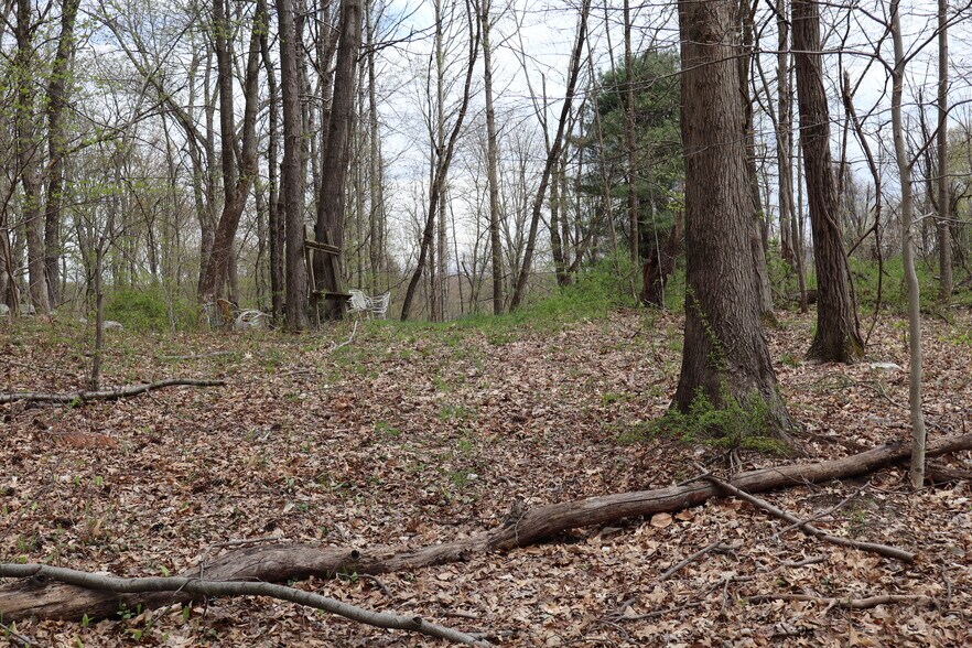 More Photos Of 330 Plutarch Rd, Highland Land For Sale