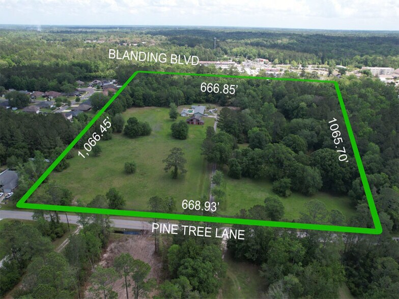 More Photos Of 2169 Pine Tree Ln, Middleburg Land For Sale