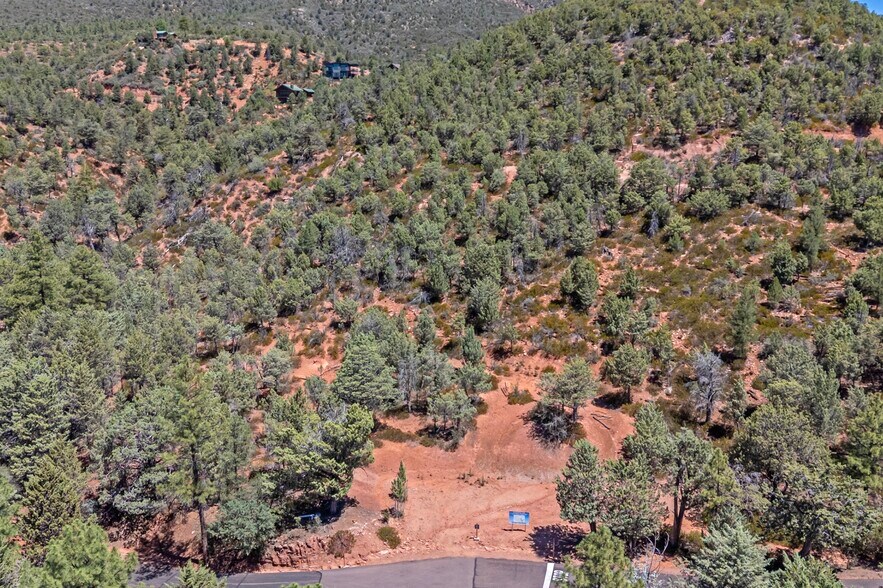 More Photos Of W Ruin Hill Loop, Pine Land For Sale