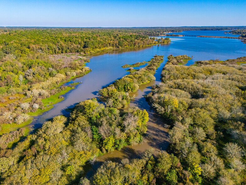 More Photos Of 391 Farm to Market 1519, Scroggins Land For Sale