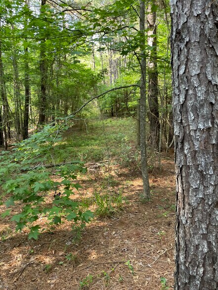 More Photos Of 0 Hwy 190 E, Huntsville Land For Sale