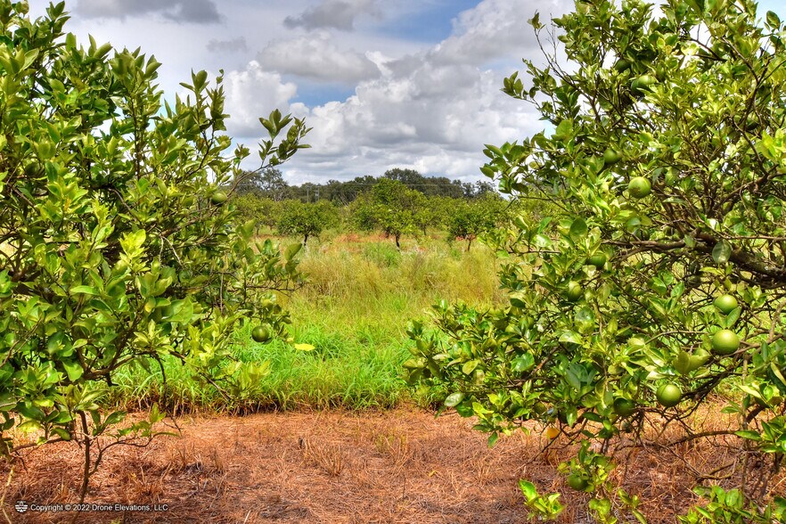 More Photos Of 4500 SW Hull Ave, Arcadia Land For Sale