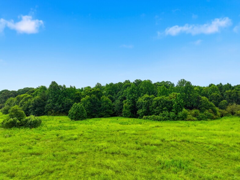 More Photos Of Thompson Mill Rd, Braselton Land For Sale