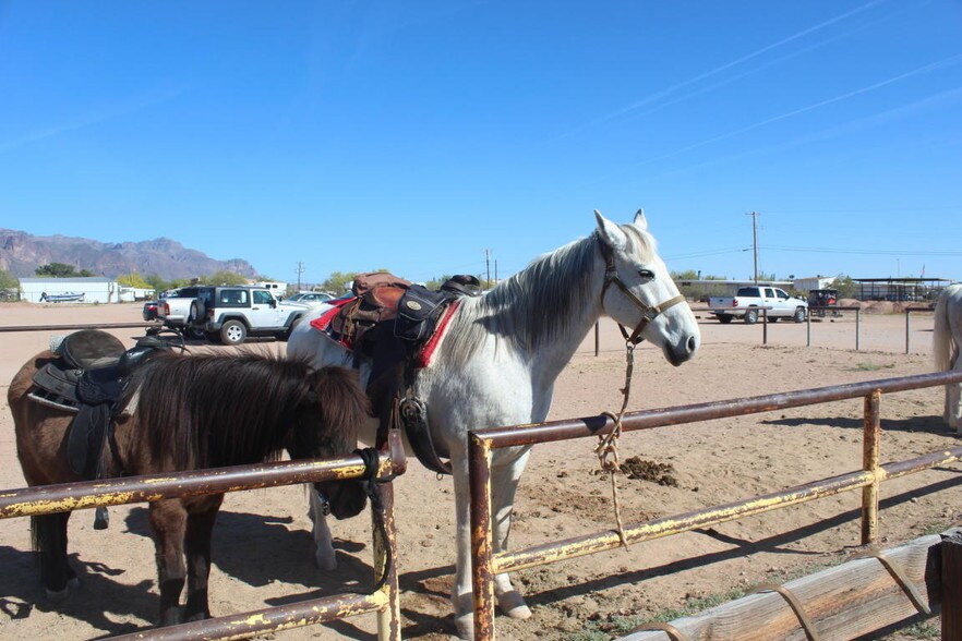More Photos Of 1615 N Apache Trl, Apache Junction Restaurant For Sale