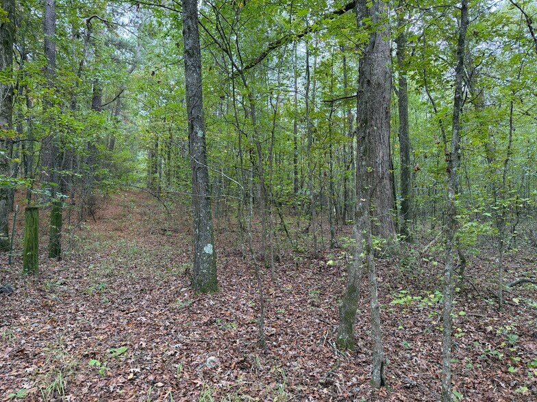 More Photos Of Colquitt Rd, Cedartown Land For Sale