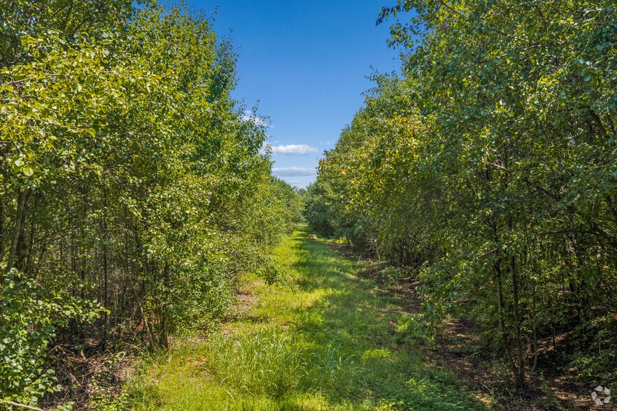 More Photos Of 375 Jonesboro Rd, McDonough Land For Sale
