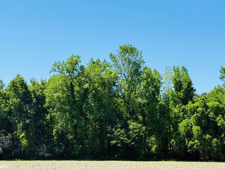 More Photos Of 0 HWY 117, Rose Hill Land For Sale