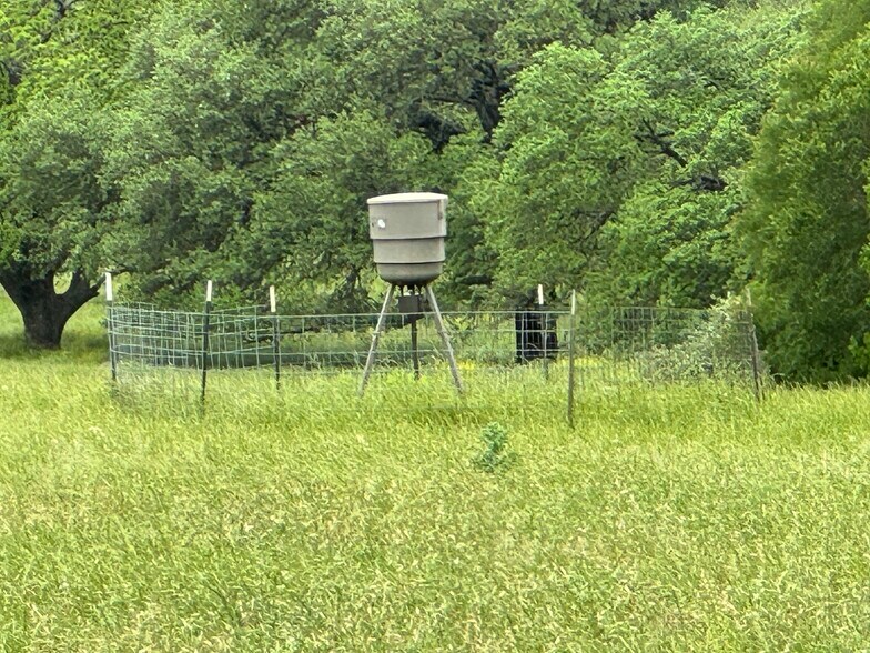 More Photos Of 435 County Road 470, Chilton Land For Sale