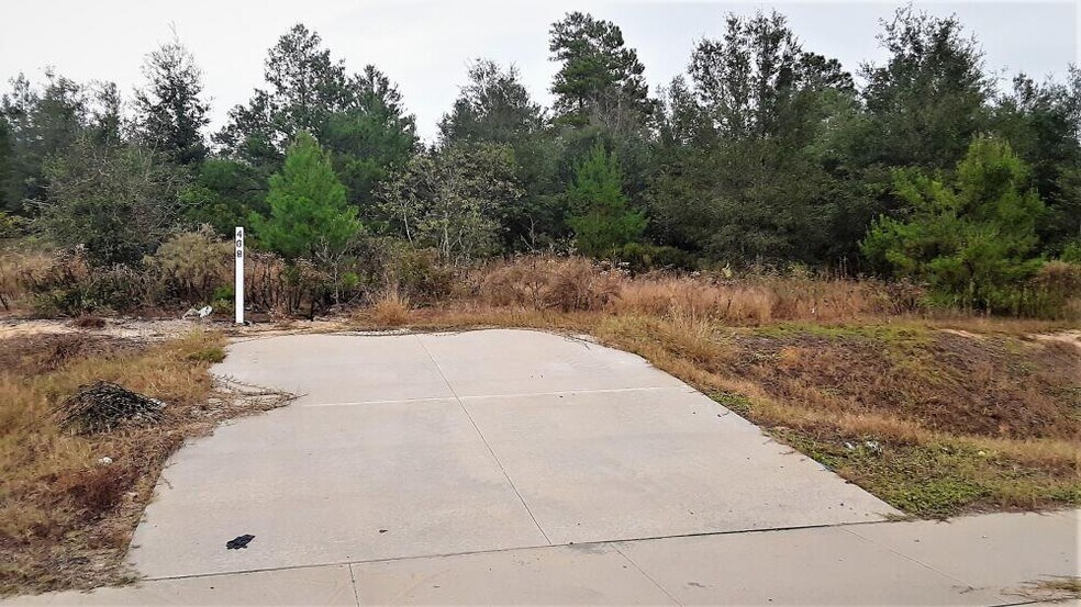 More Photos Of SR 20, Interlachen Land For Sale