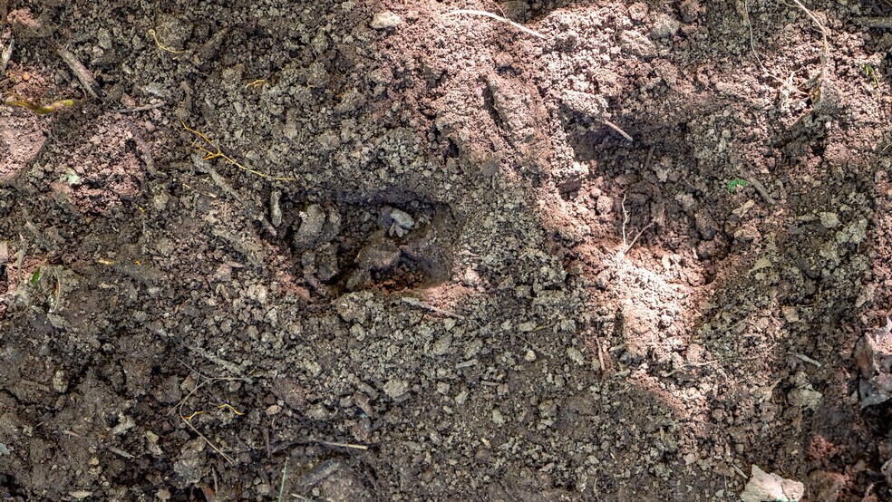 More Photos Of 1975 State Road NN, Climax Springs Warehouse For Sale