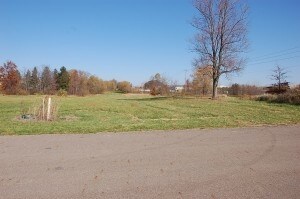 More Photos Of International Pky, Green Land For Lease