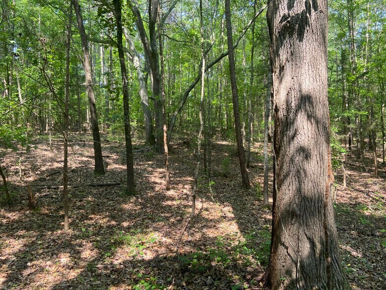 More Photos Of Terry Shop Rd, Fountain Inn Land For Sale