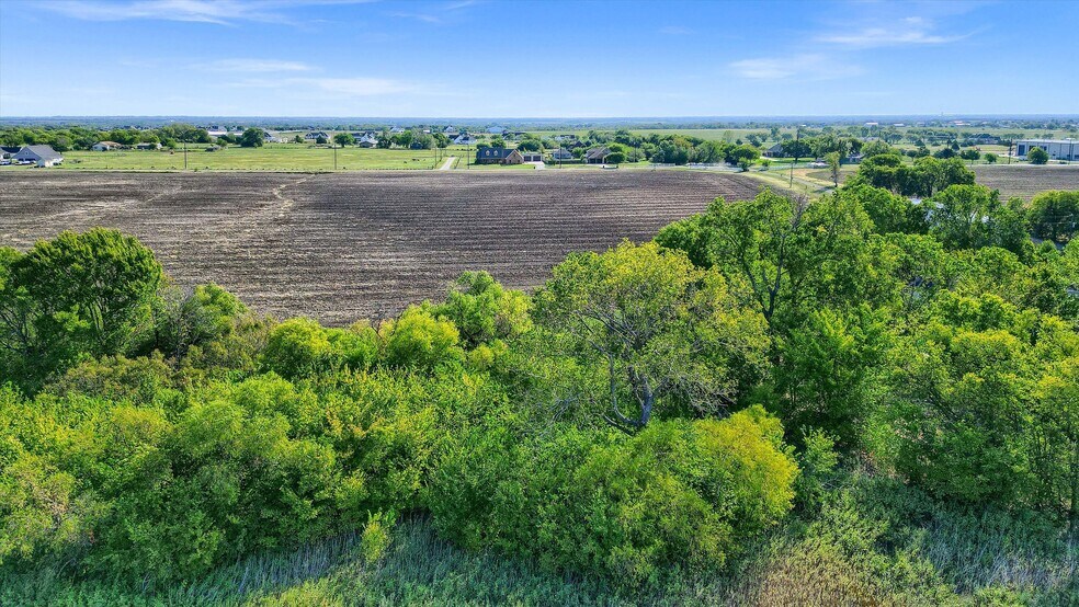 More Photos Of 229 Pike Rd, Gunter Land For Sale