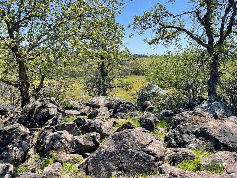 More Photos Of 295 Honey Run Road run, Chico Land For Sale