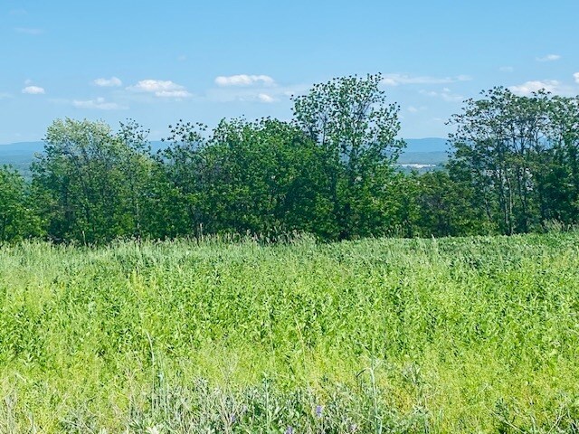 More Photos Of 00 Clarks Lane, Milton Land For Sale