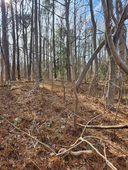 More Photos Of Lot 69 Plantation, Montross Land For Sale