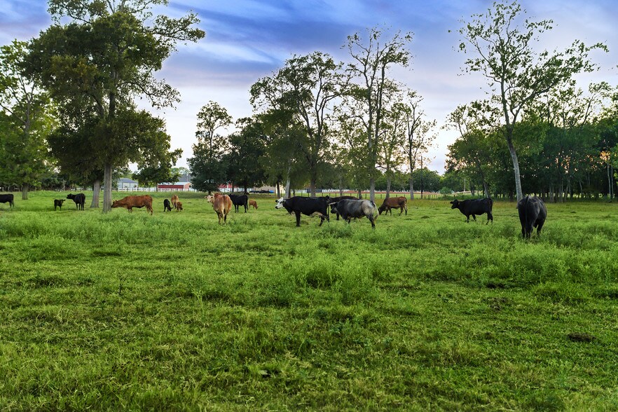 More Photos Of 4309 Bowser Rd, Fulshear Land For Sale