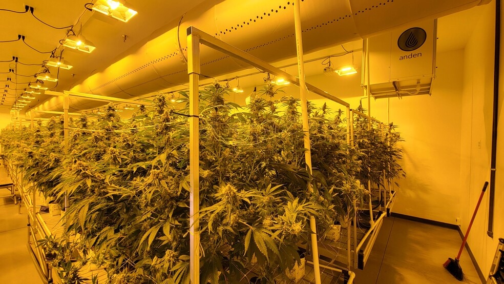 More Photos Of 515 Hammontree Dr, Morenci Industrial For Sale