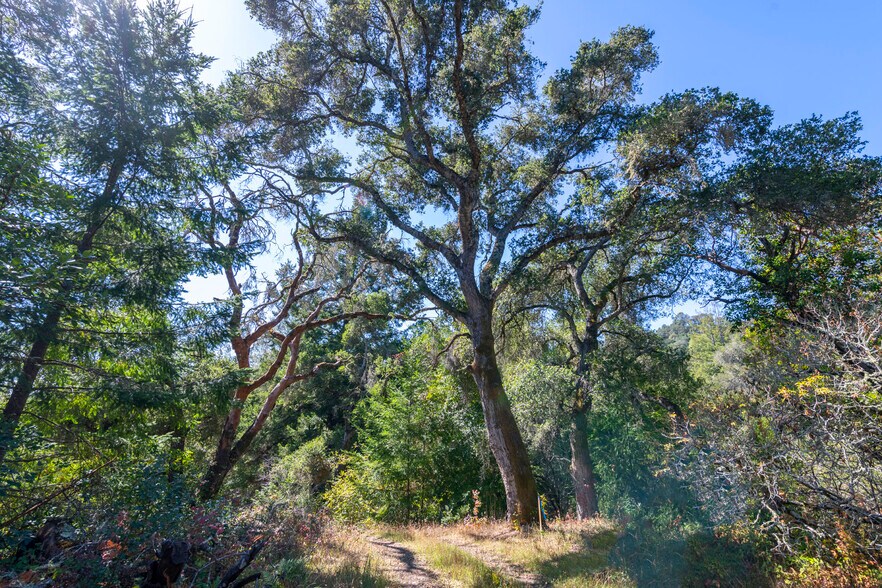 More Photos Of 2372 McKenzie Creek rd, Scotts Valley Land For Sale