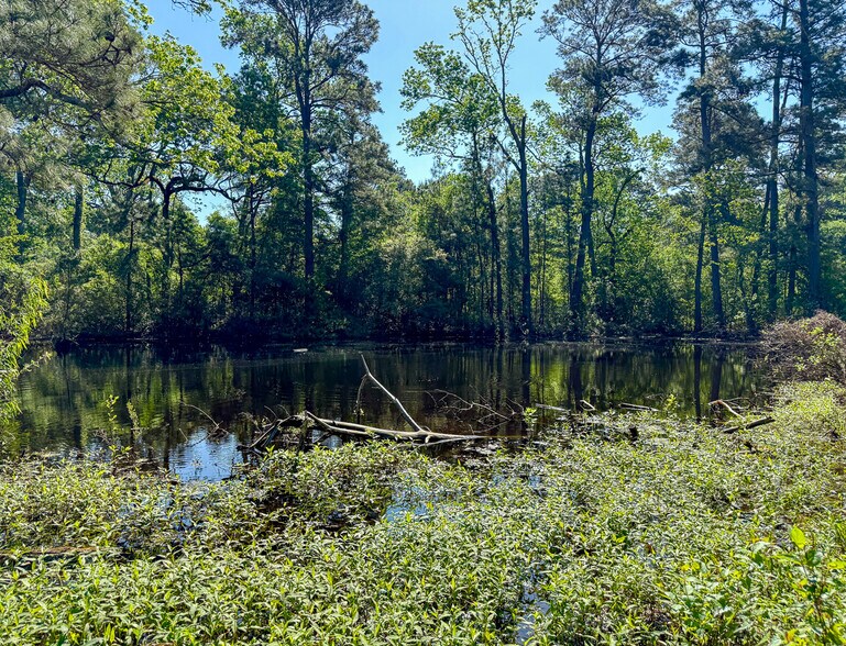 More Photos Of 10.097 Acres, Old Houston Road, Huntsville Land For Sale