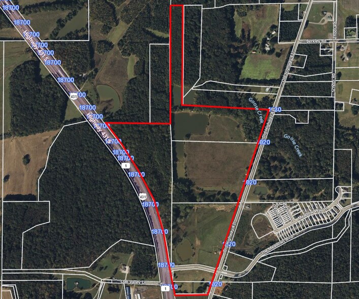 More Photos Of 2006 Old Highway 431, Owens Cross Roads Land For Sale