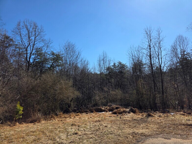 More Photos Of 15 Spruce Pine ln, Bassett Land For Sale