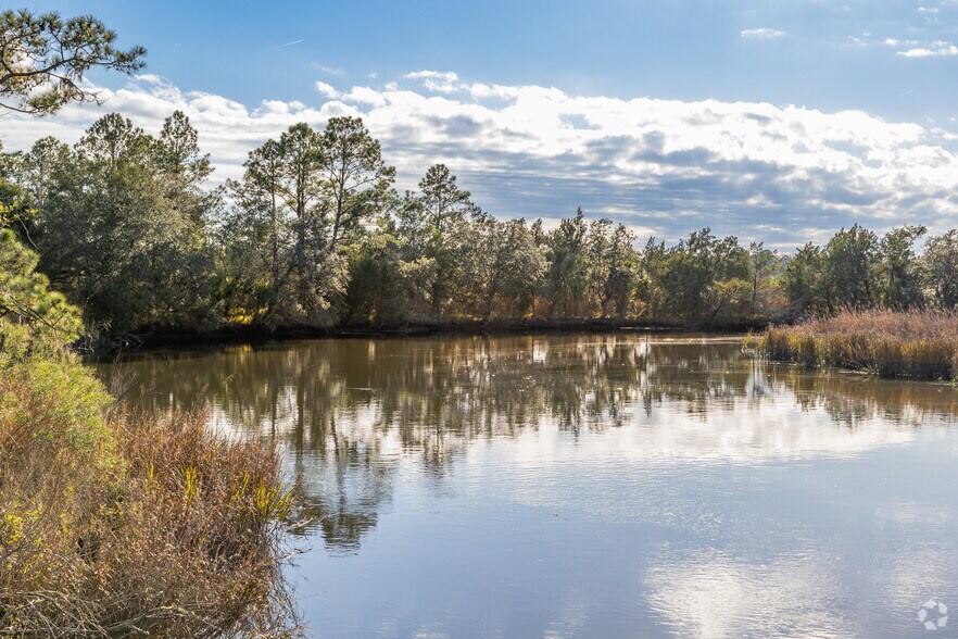 More Photos Of , Savannah Land For Sale