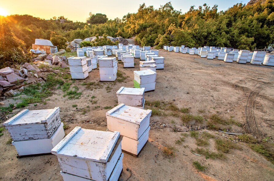 More Photos Of 6036 Rainbow Heights Rd, Fallbrook Land For Sale