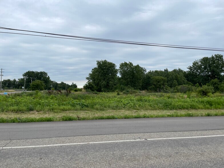 Primary Photo Of 0 Angola Road, Coldwater Land For Sale
