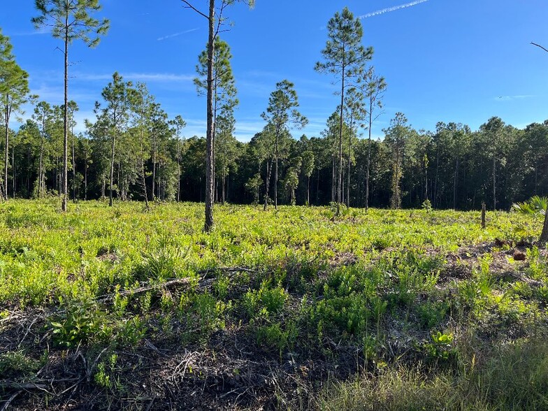 Primary Photo Of 2 International Golf Parkway, Saint Augustine Land For Sale