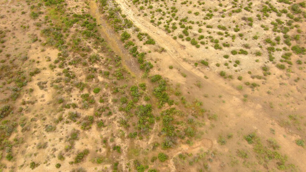 More Photos Of 0100 Cactus Rose Ln, Ozona Land For Sale