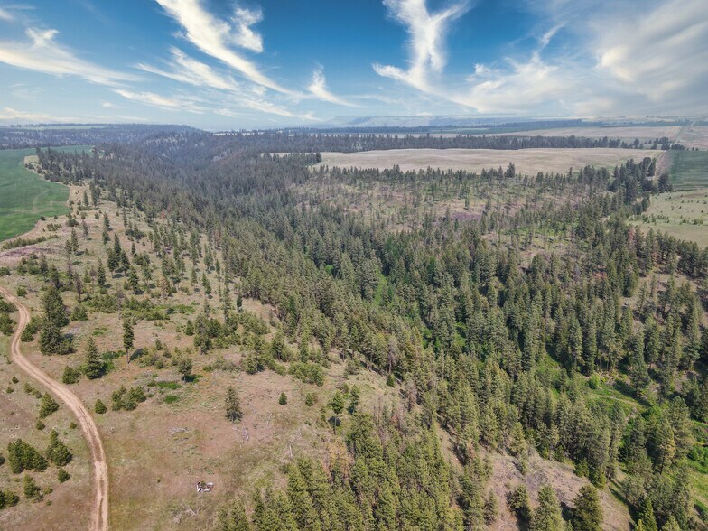 More Photos Of 45XXX Devore Rd, Davenport Land For Sale