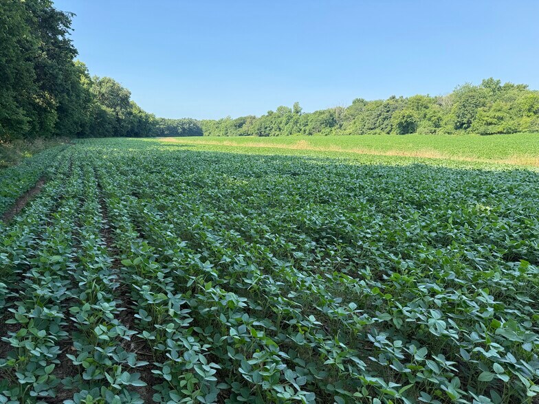 More Photos Of Walnut Hill Ln. (36.31+/- Acres), Elsberry Land For Sale
