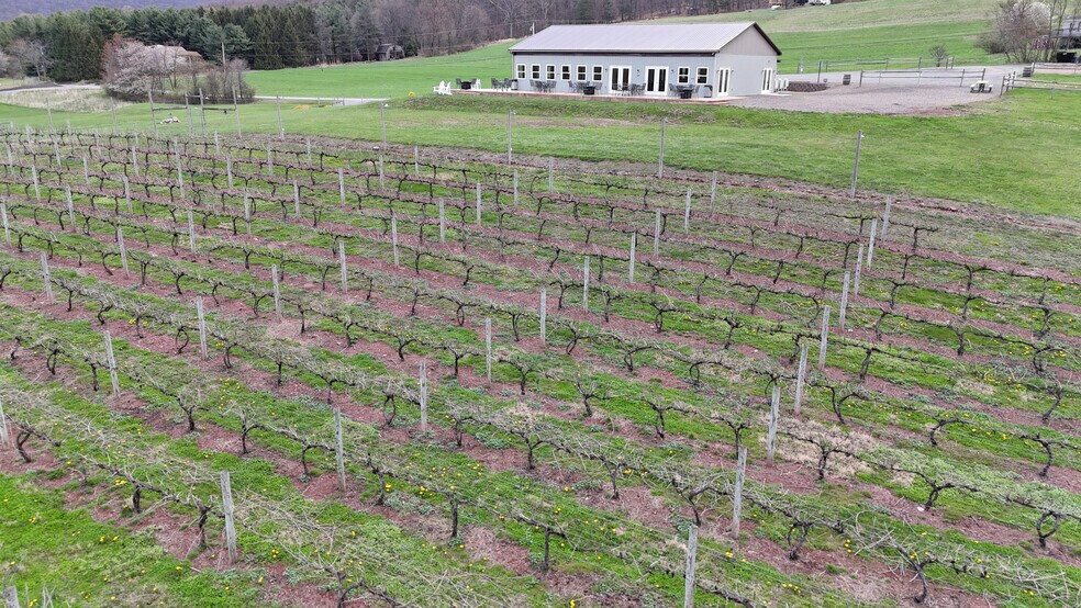 More Photos Of 596 Harman Rd, Halifax Winery Vineyard For Sale