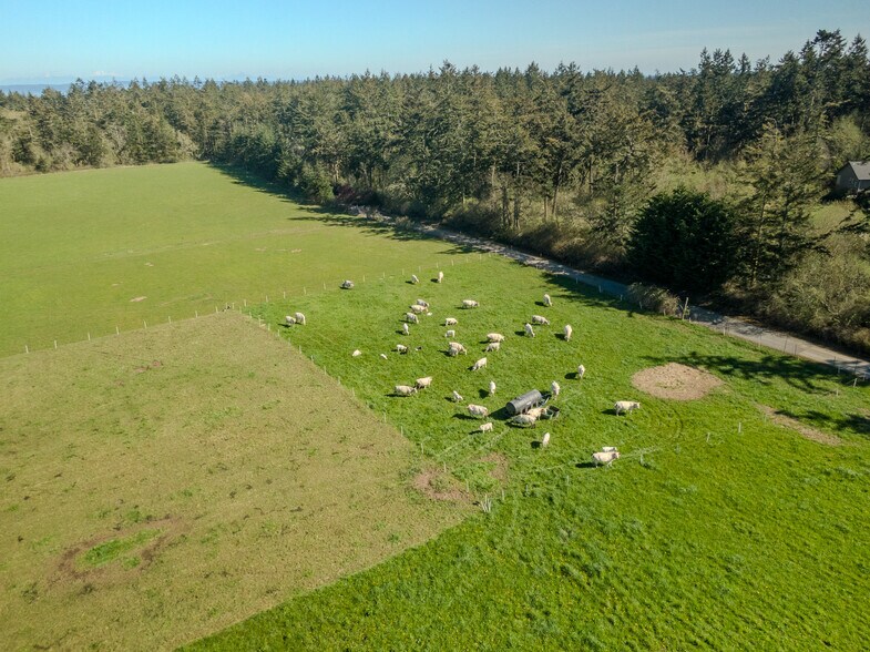 More Photos Of 886 W Beach Rd, Coupeville Land For Sale