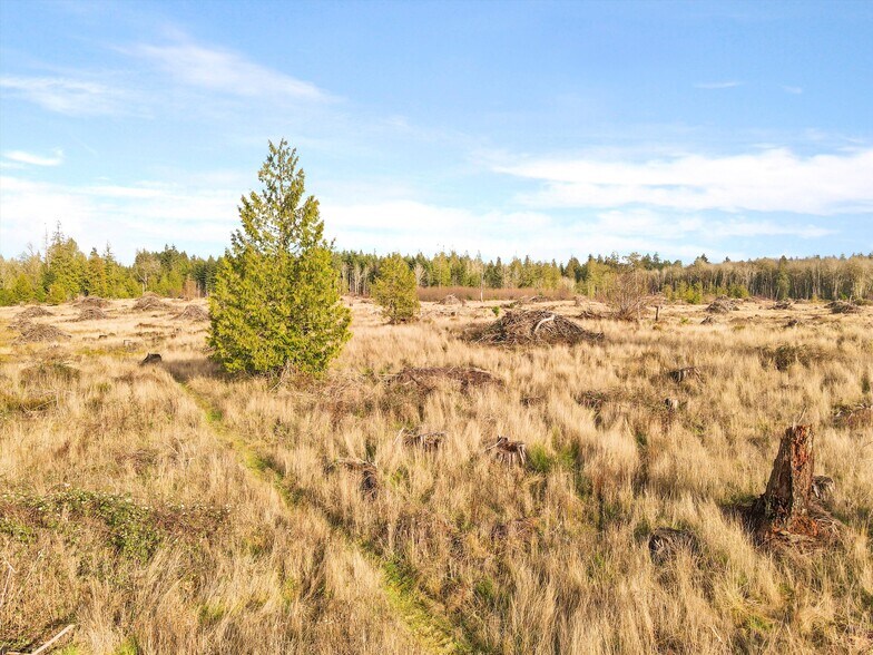 More Photos Of XXX Gravelly Beach Loop, Olympia Land For Sale