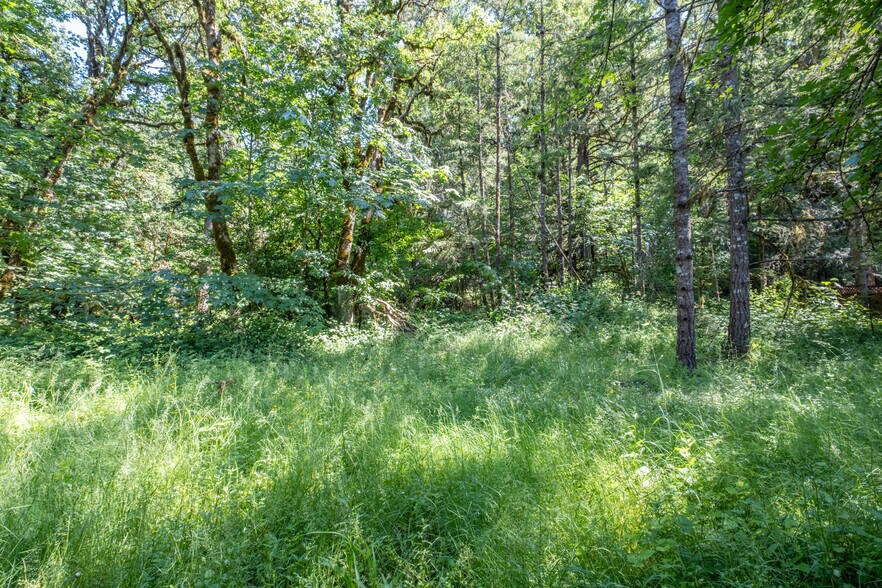 More Photos Of 4901 US-20, Sweet Home Land For Sale