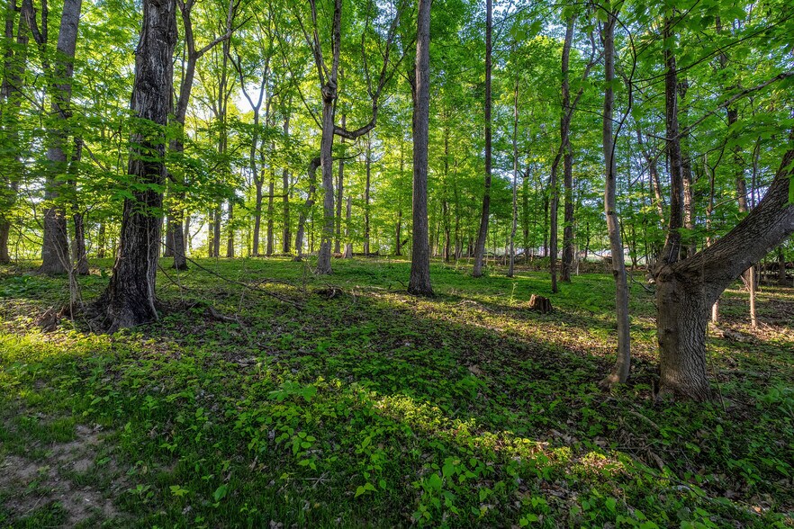More Photos Of 2188 Highway 75, Blountville Land For Sale