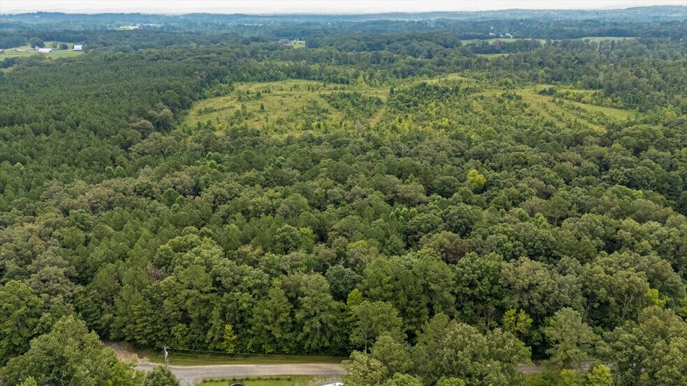 More Photos Of 0 Poindexter SE Dr, Cleveland Land For Sale