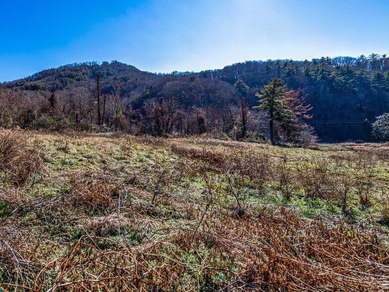 More Photos Of 300 Baird Cove Rd, Asheville Land For Sale