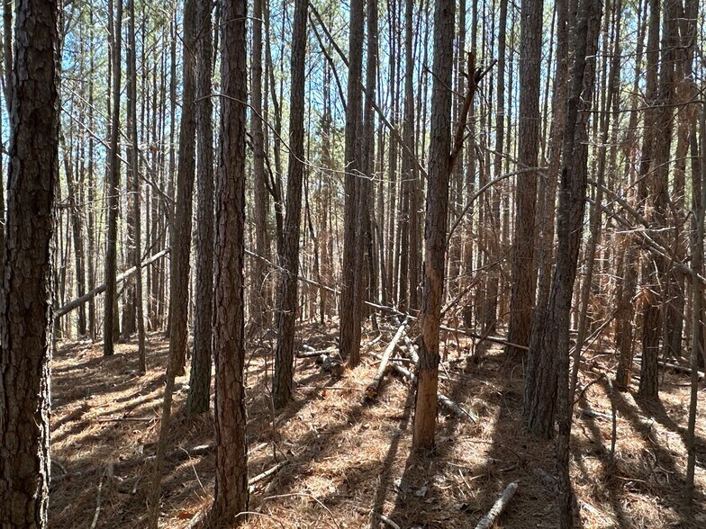 More Photos Of 3472 Prior Station Rd, Cedartown Land For Sale