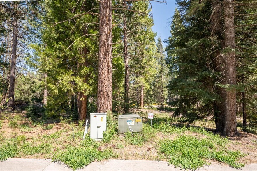 More Photos Of 200 Old Mill Dr, Mccloud Land For Sale