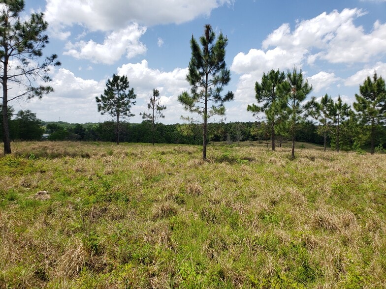 More Photos Of 31300 Blanton Rd, Dade City Land For Sale