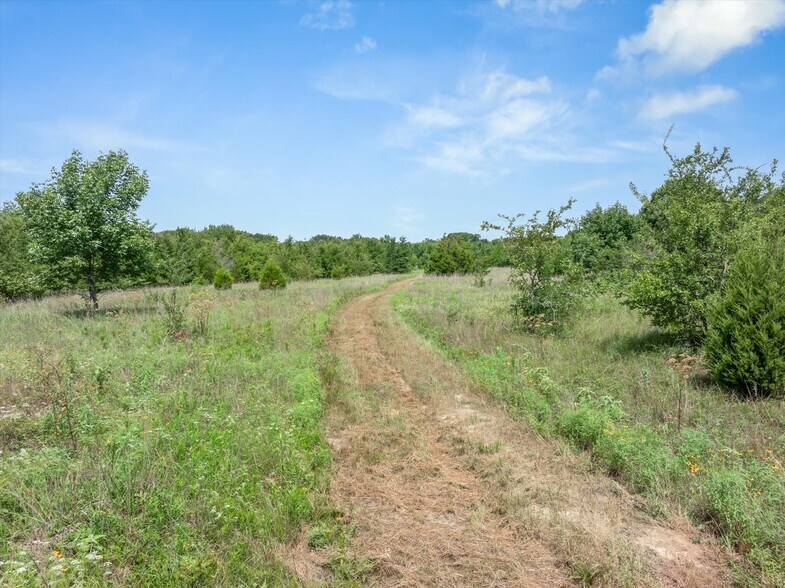 More Photos Of 1745 FM 2737, Lone Oak Land For Sale