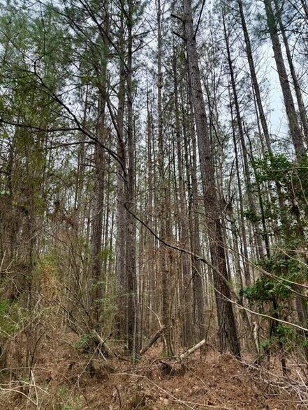 More Photos Of 00 Maypop Ln, Meadville Land For Sale