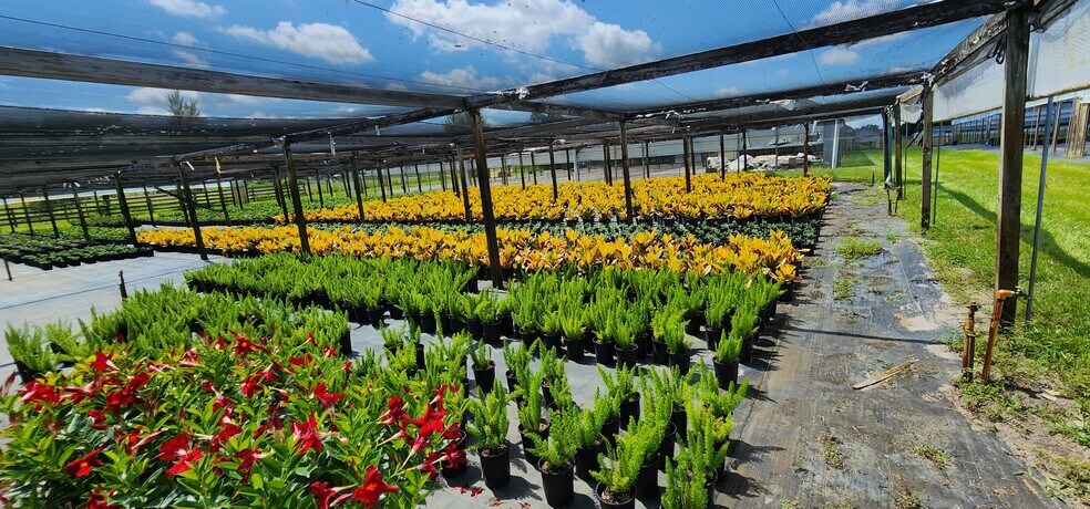 More Photos Of 23010 Wolf Branch rd, Sorrento Winery Vineyard For Sale