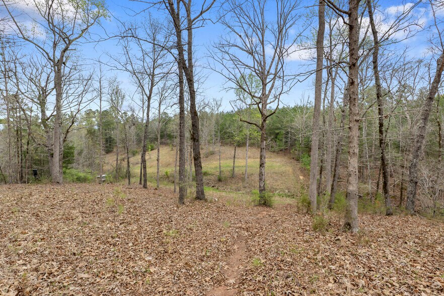 More Photos Of 2482 Old Douglass Rd, Winnsboro Land For Sale