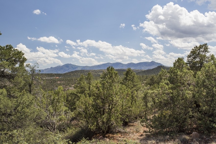 Primary Photo Of 1250 W. Airport Rd, Payson Land For Sale