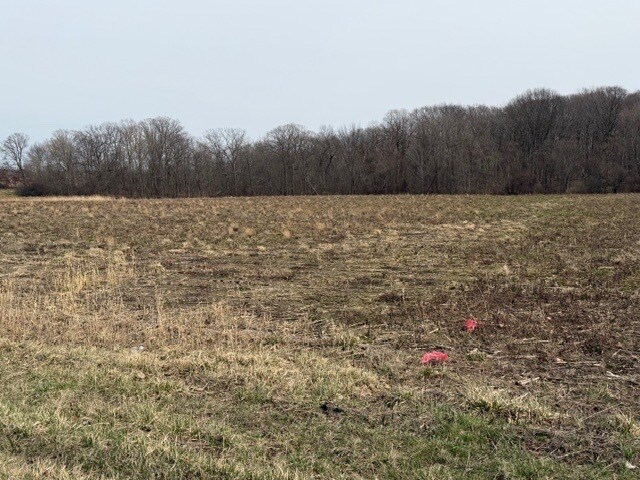 More Photos Of Approx. 4593 S Madison Rd, Madison Land For Sale